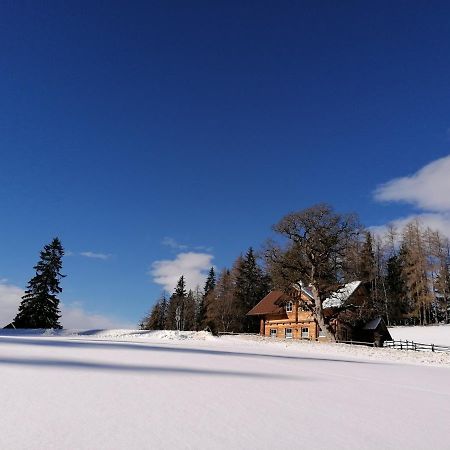 Ferienhaus Bichlhuette プルークガーン エクステリア 写真