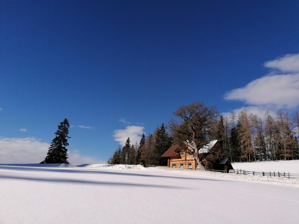 Ferienhaus Bichlhuette プルークガーン エクステリア 写真