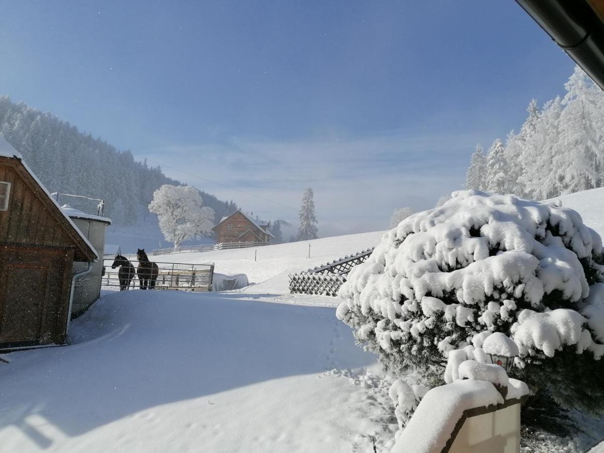 Ferienhaus Bichlhuette プルークガーン エクステリア 写真