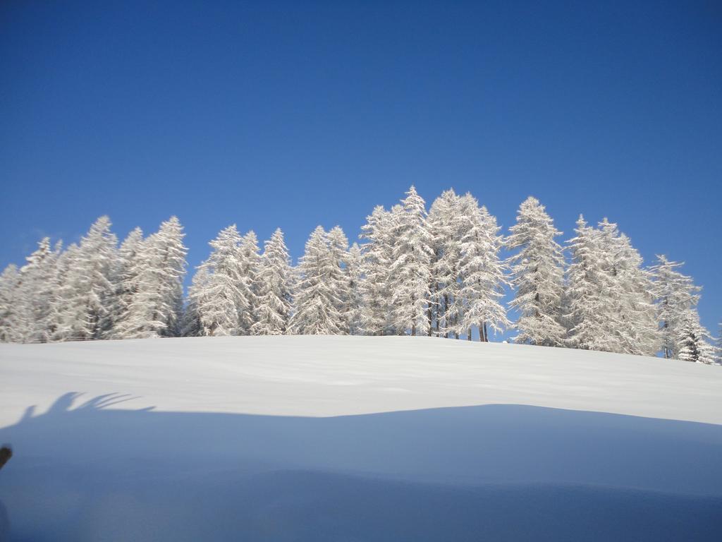 Ferienhaus Bichlhuette プルークガーン 部屋 写真