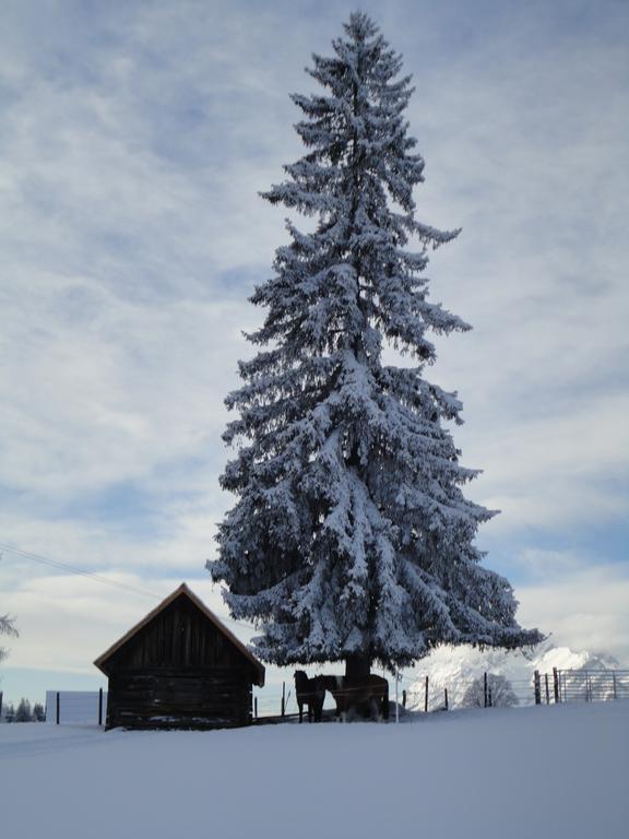 Ferienhaus Bichlhuette プルークガーン 部屋 写真